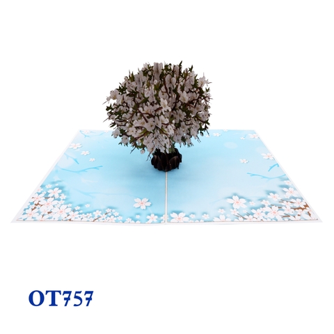 White Cherry Blossom Pop Up Card