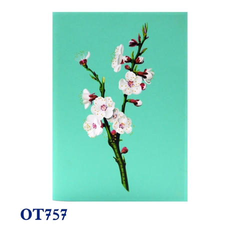 White Cherry Blossom Pop Up Card