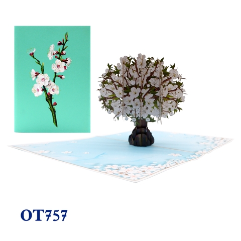 White Cherry Blossom Pop Up Card