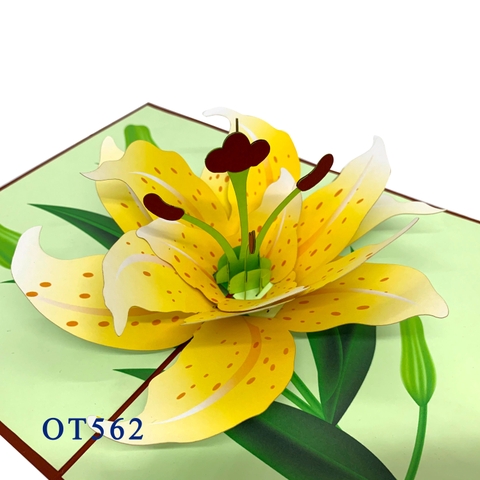 Yellow Blooming Lily Pop Up Card