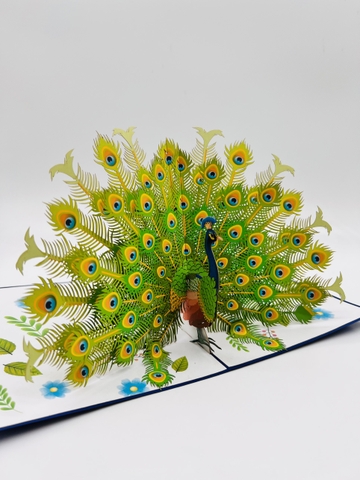 Peacock