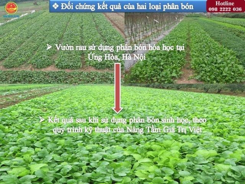 Phân hóa học hay Hữu cơ vi sinh?