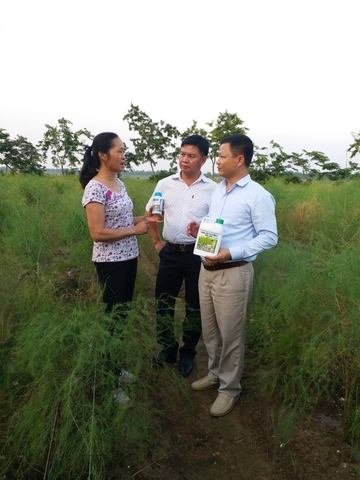 Làm cỏ bằng phương pháp sinh học, ức chế không cho hạt cỏ nảy mầm - Nâng Tầm giá trị Việt