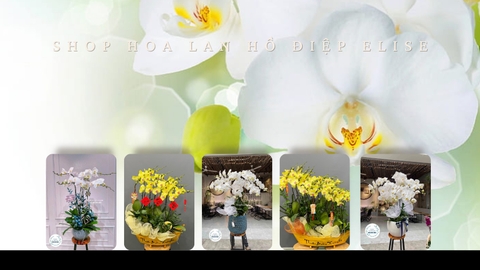Điện hoa lan hồ điệp, Dịch vụ điện hoa lan hồ điệp Hà Nội. Điện hoa lan hồ điệp uy tín ở Hà Nội
