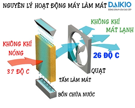 So sánh máy làm mát Nakami và Symphony