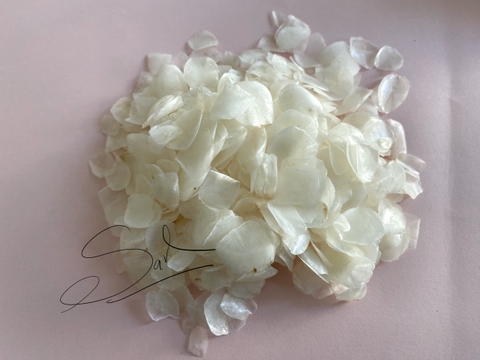 Ivory Freeze Dried Rose Petals