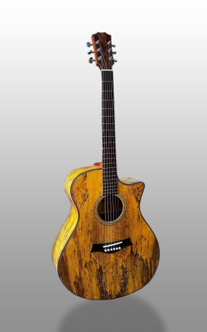 GUITAR ACOUSTIC  A550 (CỰC PHẨM)