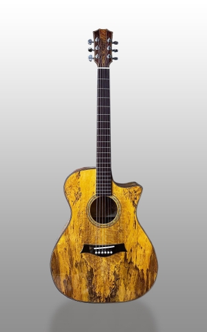 GUITAR ACOUSTIC  A550 (CỰC PHẨM)