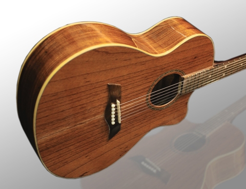 GUITAR ACOUSTIC CUSTOM A180N