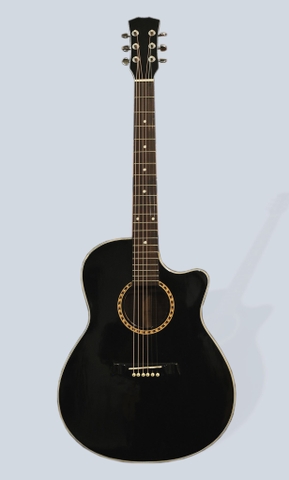 GUITAR ACOUSTIC CUSTOM A180D