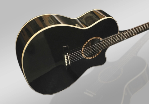 GUITAR ACOUSTIC CUSTOM A180D