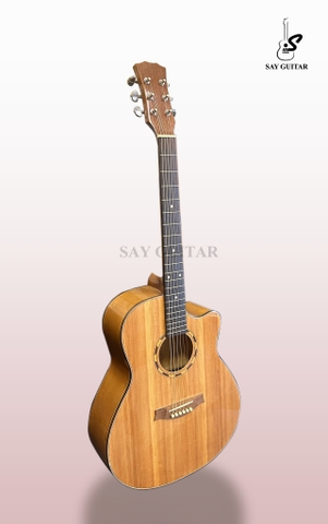 GUITAR ACOUSTIC CUSTOM A250T