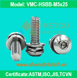 Bulong lục giác đầu cầu M5x25