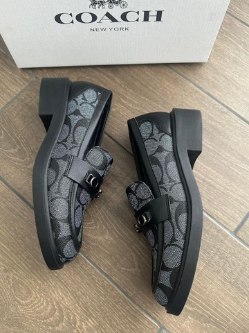 giày C.o.a.ch chuẩnx xịn