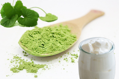 Cửa hàng bột rau má TP.HCM