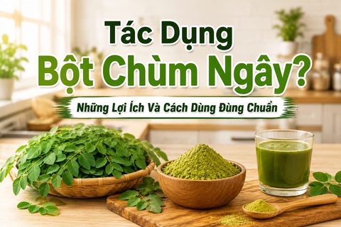Tác Dụng Bột Chùm Ngây? Những Lợi Ích Và Cách Dùng Đúng Chuẩn
