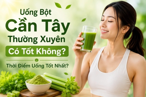 Uống Bột Cần Tây Thường Xuyên Có Tốt Không? Thời Điểm Uống Tốt Nhất?