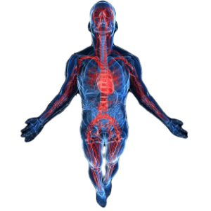 3 lý do khiến bạn nên dùng bột rau má ngay lập tức