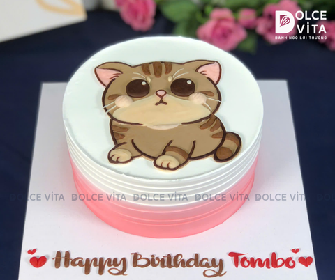 [1909] (50) Bánh kem vẽ hình chú mèo tabby chubby đáng yêu