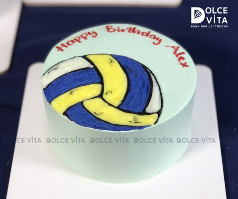 [2077] (40) Bánh vẽ quả bóng chuyền