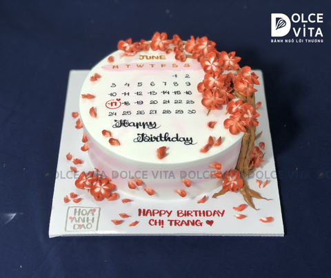 483 (40) Bánh vẽ lịch - hoa anh đào