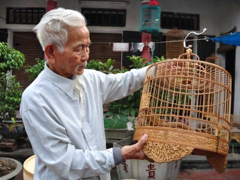 Nên Chọn Lồng Vuông Hay Lồng Tròn Cho Chim Cảnh