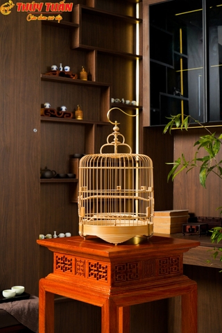 Lồng Khuyên Bố Lủng