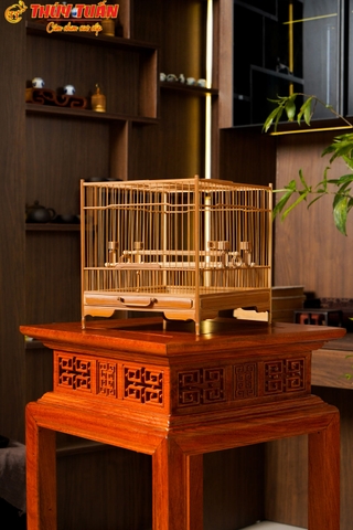 Lồng Vuông Để Bàn