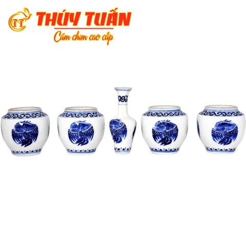 Cóng Hồng hạc - Chàm