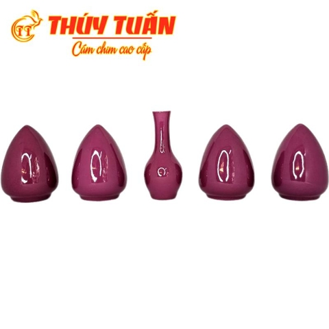 Cóng Thúy Hồng
