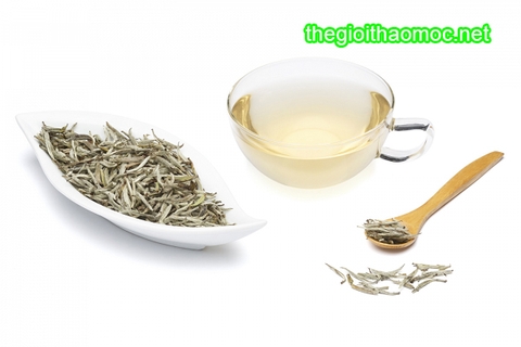 Bạch trà cao cấp