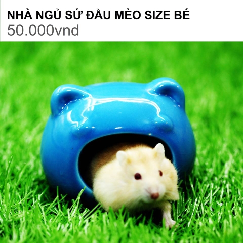 NHÀ NGỦ SỨ ĐẦU MÈO SIZE BÉ