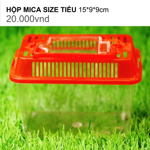 HỘP MICA SIZE TIỂU 15*9*9CM