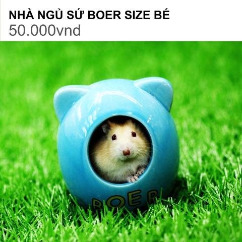 NHÀ NGỦ SỨ BOER SIZE BÉ