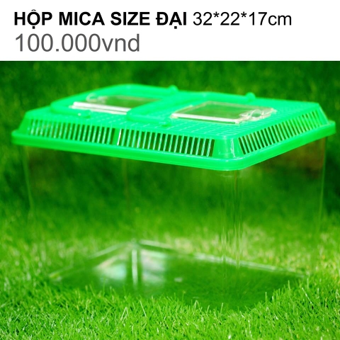 HỘP MICA SIZE ĐẠI 32*22*17CM