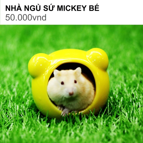 NHÀ NGỦ SỨ MICKEY BÉ