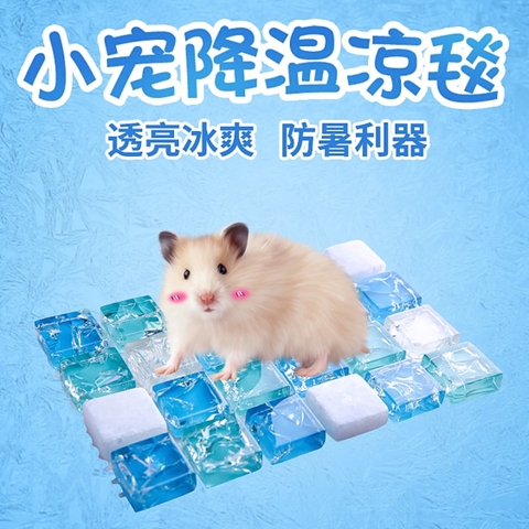 TẤM GẠCH THUỶ TINH LÀM MÁT HAMSTER