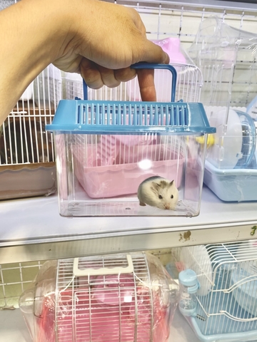 Hộp xách tay mica cho hamster