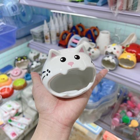 ngủ mèo trắng nhỏ