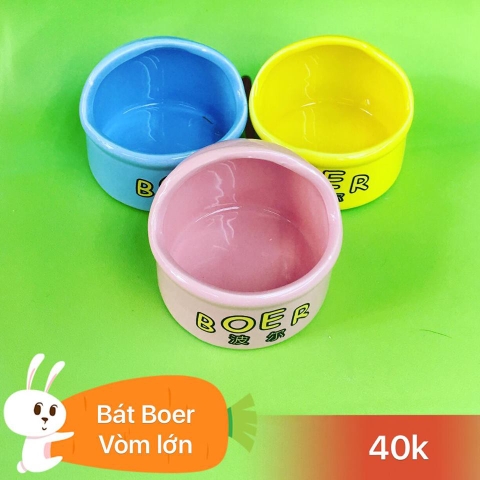 BÁT BOER SIZE LỚN