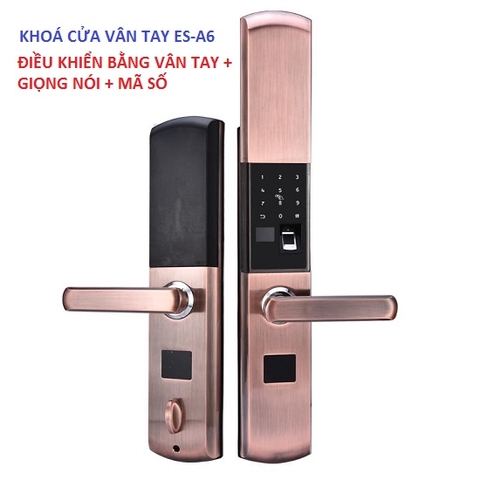 Khoá cửa vân tay thông minh lên ngôi trong năm 2019