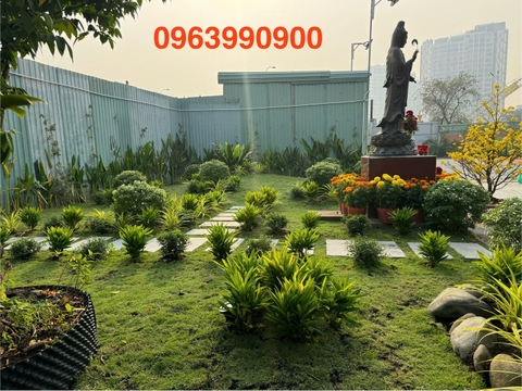 Công Trình Cải Tạo Sân Vườn và Trồng Có Tiểu Cảnh Tại Quận 2 TP Thủ Đức