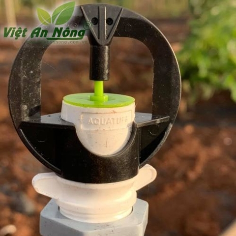 Béc tưới tỏa tròn AQ205 Ấn Độ