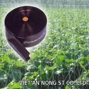 Dây phun mưa Sanfu 34 Taiwan 3 tia 100m/c