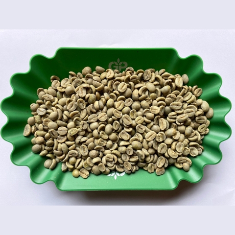 Arabica Cầu Đất