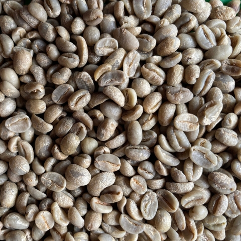 Arabica Lào