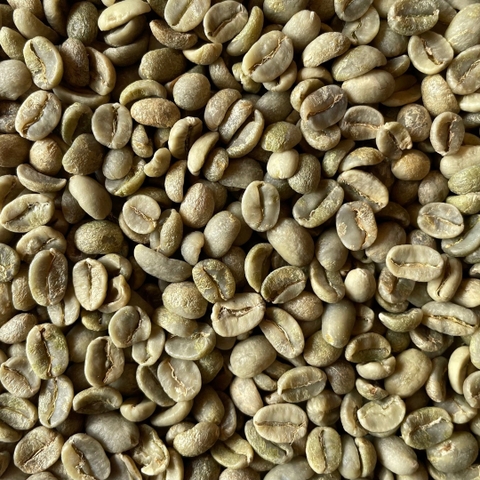Arabica Lạc Dương