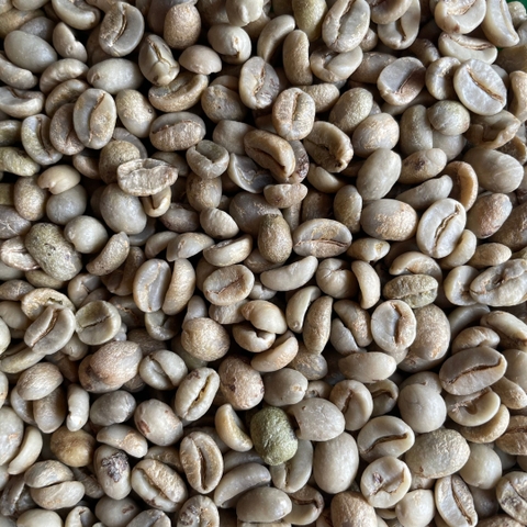 Arabica Sơn La