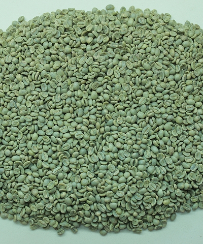 Arabica Sơn La