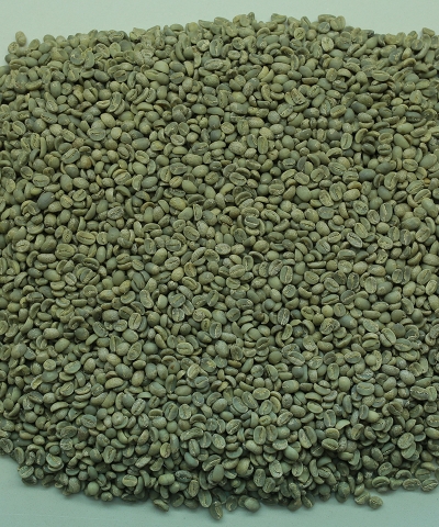 Robusta Washed